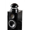 ELAC 4Pi Plus V