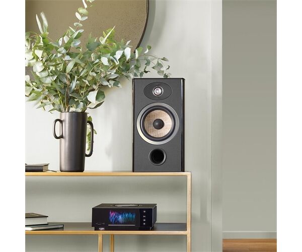 Focal Aria Evo X N°1