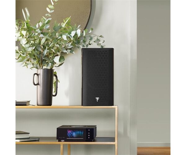 Focal Aria Evo X N°1