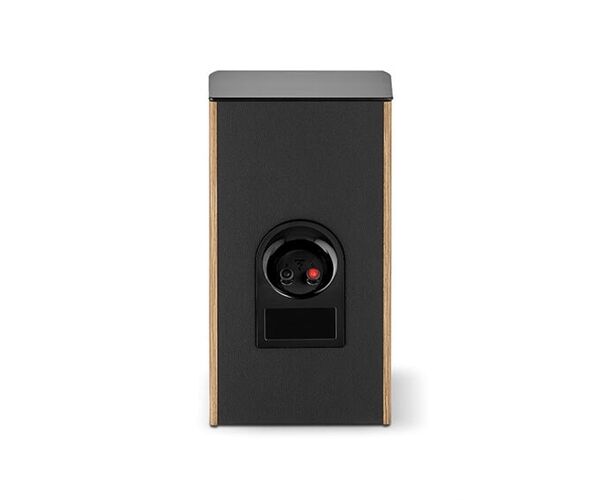 Focal Aria Evo X N°1