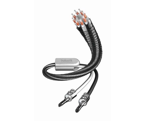 Inakustik Referenz LS-803 BFA Banana SW