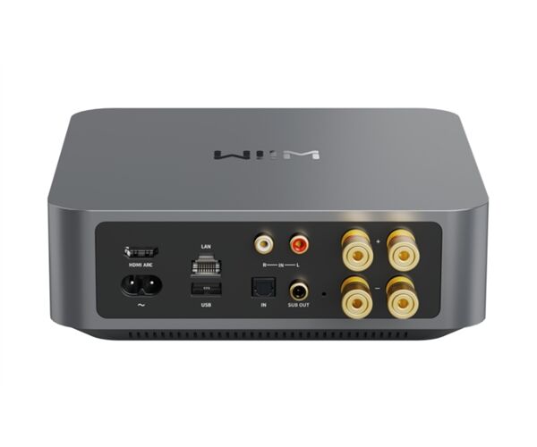 WiiM Amp -Auspackware-
