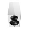 Dynaudio Focus 10