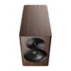 Dynaudio Focus 10