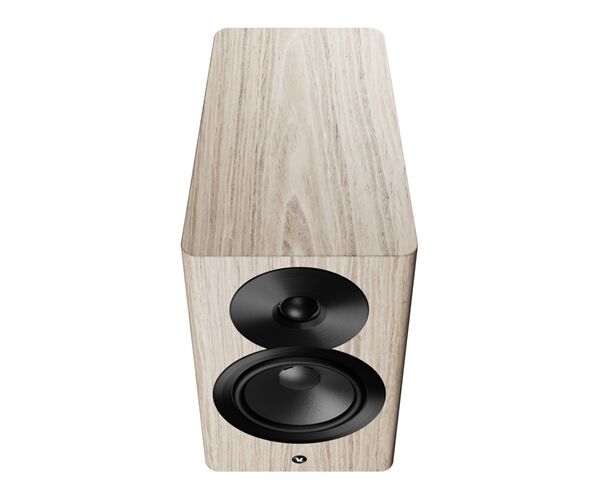Dynaudio Focus 10