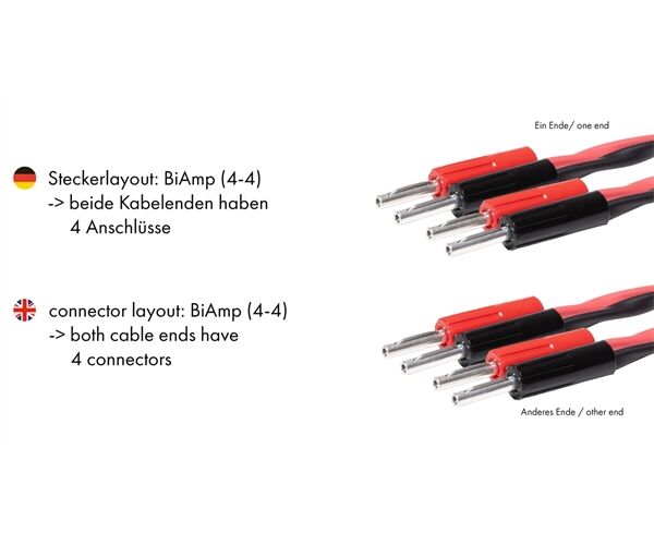 Flux Hifi FLUX-MATRIXX LS-8 BiAmp