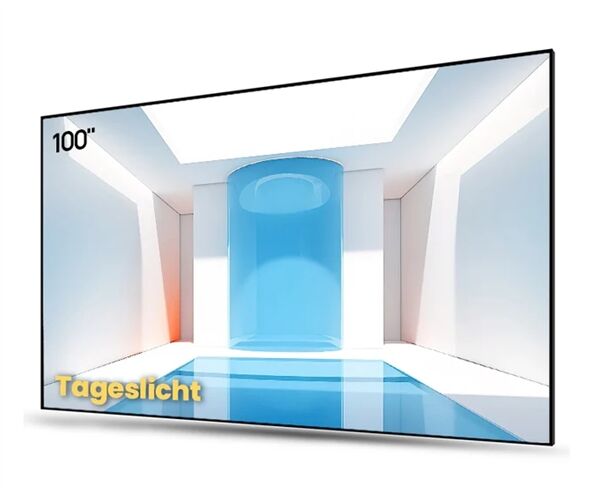 Awol Vision ALR-D100 Tageslicht-Bildschirm