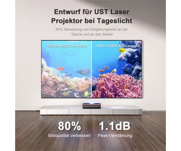 Awol Vision ALR-D100 Tageslicht-Bildschirm