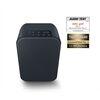 Bluesound Pulse Flex 2i