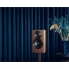 Dynaudio Focus 10