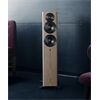 Dynaudio Focus 30