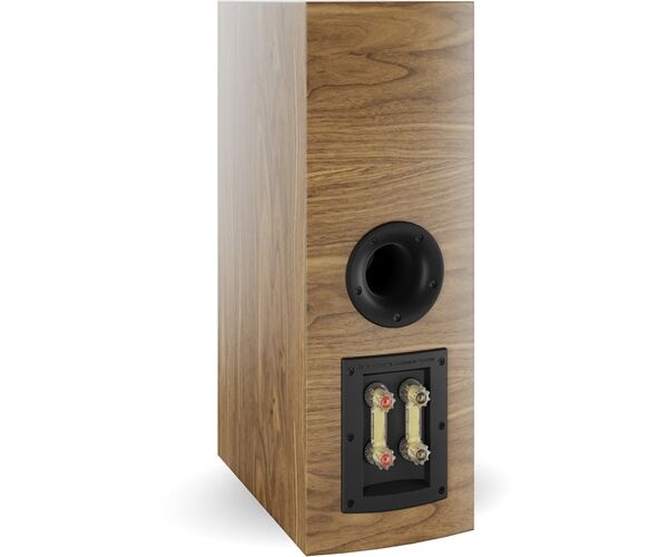 Dali Rubikore Cinema