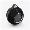 Devialet Mania (inkl. Ladestation)