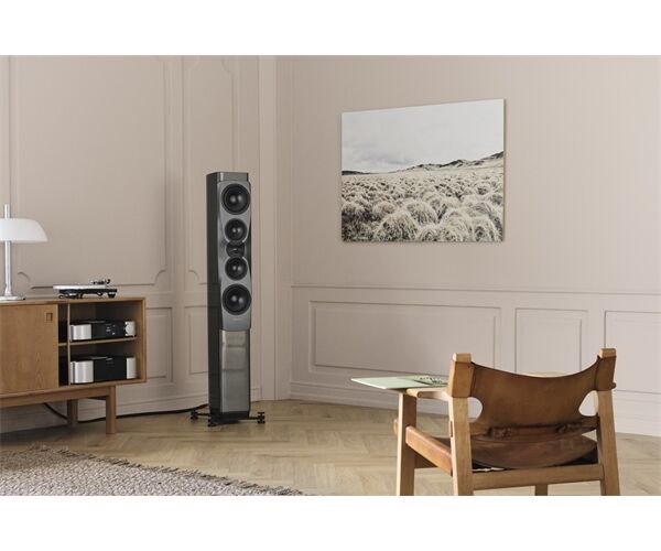 Dynaudio Confidence 50