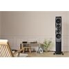 Dynaudio Confidence 60