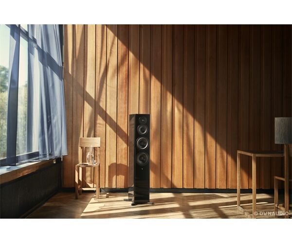 Dynaudio Focus 50