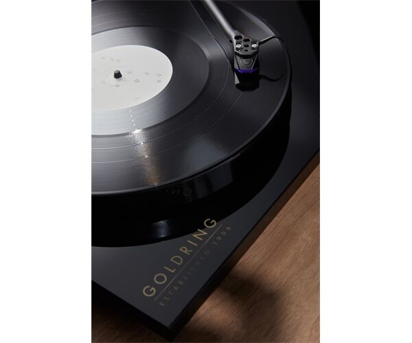 Goldring GR 3 + E3 MM Tonabnehmer