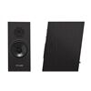PYLON Audio Diamond 18 MK II