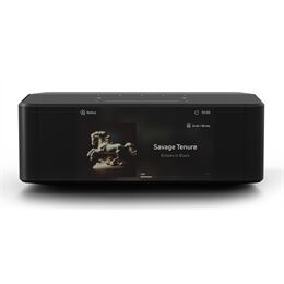 Bluesound NODE ICON -Auspackware-