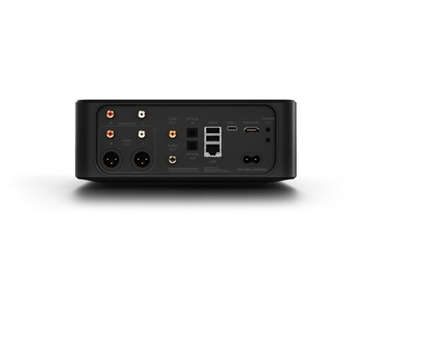 Bluesound NODE ICON -Auspackware-