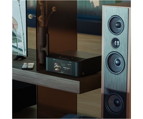 Bluesound NODE ICON -Auspackware-