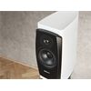 Dynaudio Confidence 20A inkl. Ständer (Paar)