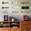 Technics SC-CX700 (Set)