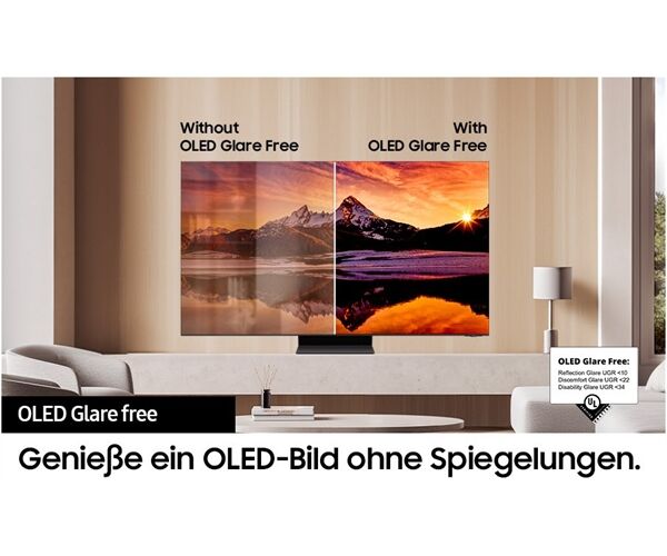 Samsung GQ65S95DAT -Made for Germany-