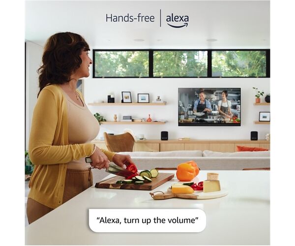 Panasonic TV-65Z95AEG