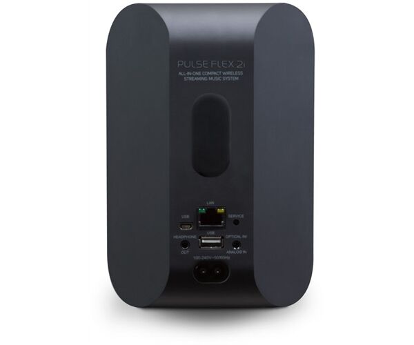 Bluesound Pulse Flex 2i