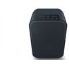 Bluesound Pulse Flex 2i