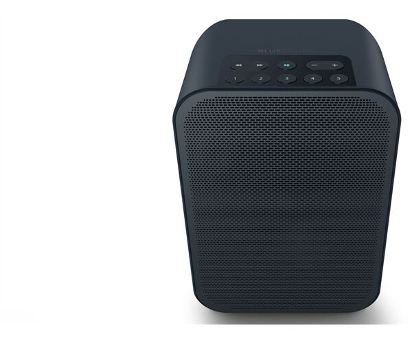 Bluesound Pulse Flex 2i