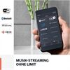 Denon HOME 250
