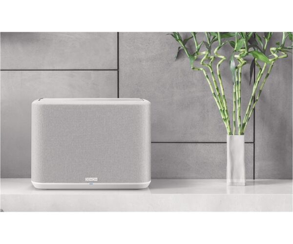 Denon HOME 250