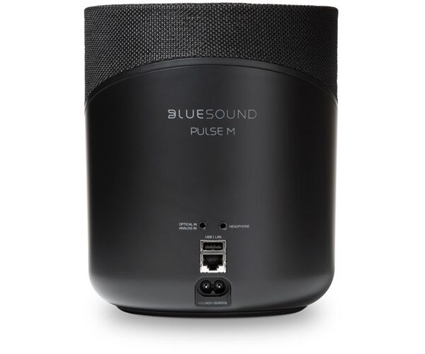 Bluesound Pulse M