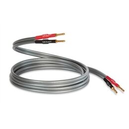 QED Reference XT 40i