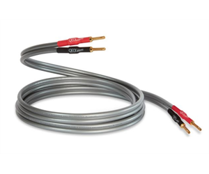QED Reference XT 40i