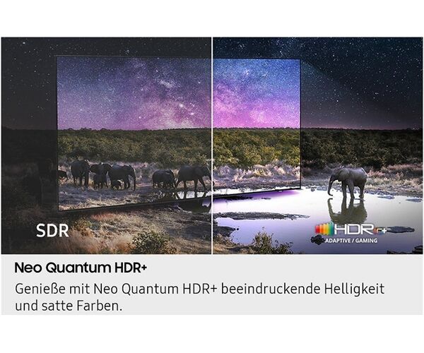 Samsung GQ55QN93FATXZG (225,-€ Cashback)