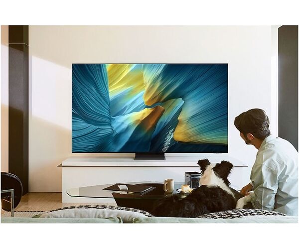 Samsung GQ55S95FATXZG (300,-€ Cashback)