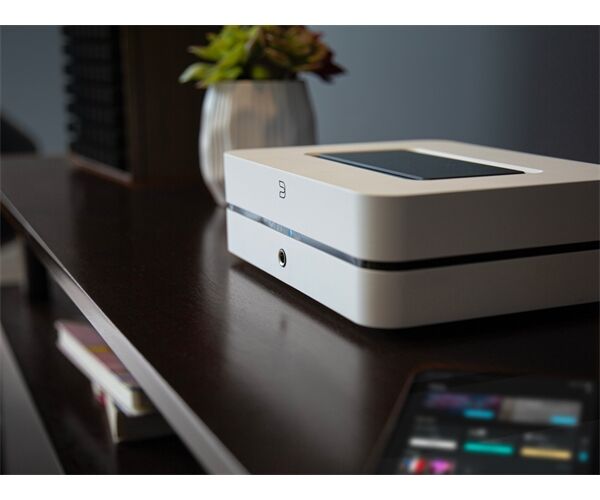 Bluesound Powernode N331