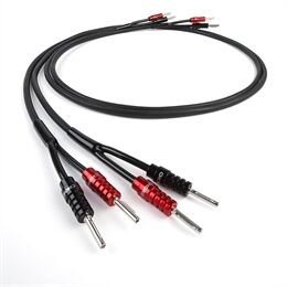 Chord Company Leyline 2XL