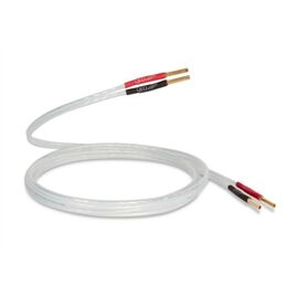 QED Performance XT 25