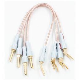 Supra XL - Annorum Jumper CCC 0,28m (Paar)