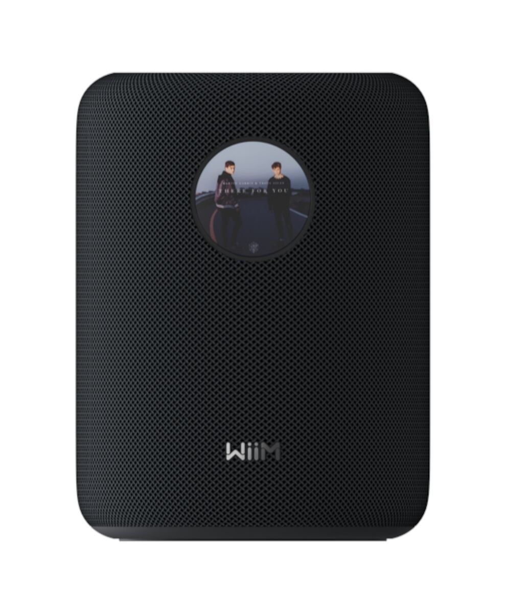 WiiM Wireless Lautsprecher Sound (schwarz)
