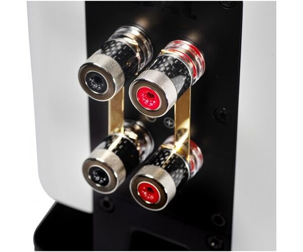 ELAC Carina BS 243.4