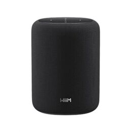 WiiM Sound Lite