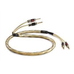 QED Golden Anniversary XT