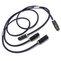 Zavfino Arcadia MK2 XLR