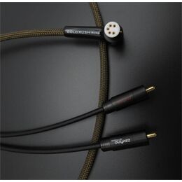 Zavfino GoldRush DIN-XLR