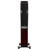 Dynaudio Confidence 30